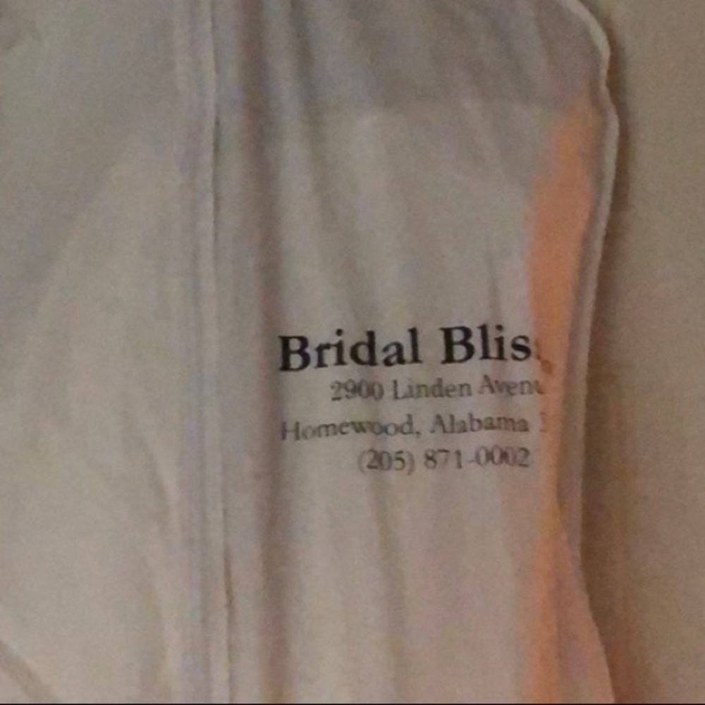 Off-White Wedding Dress - Picture 2 of 5